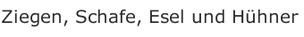 Ziegen, Schafe, Esel und H&uuml;hner
