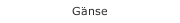 G&auml;nse