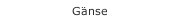G&auml;nse